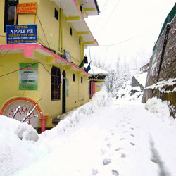 Snow at Hotel Apple Pie in Kalpa